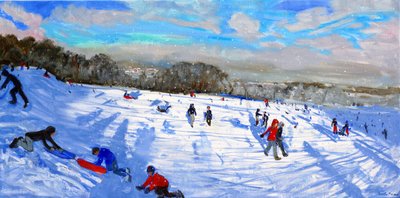 Schneegestöber, Allestree Park, Derby von Andrew Macara